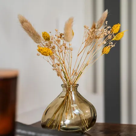 Casa Della Musica 公寓 *